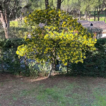 Climatise - Wifi Lägenhet *