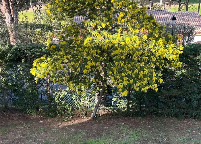 Climatise - Wifi Апартаменты *